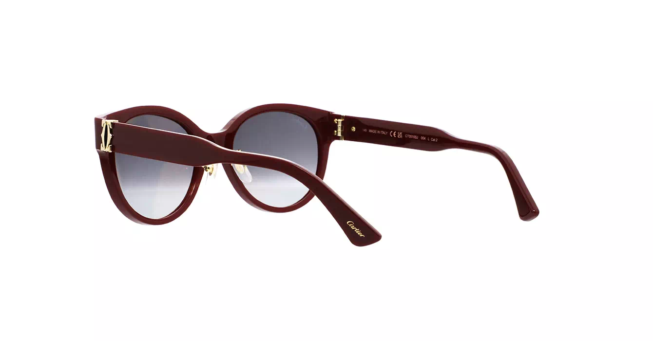 Cartier CT0510SJ 004 s55