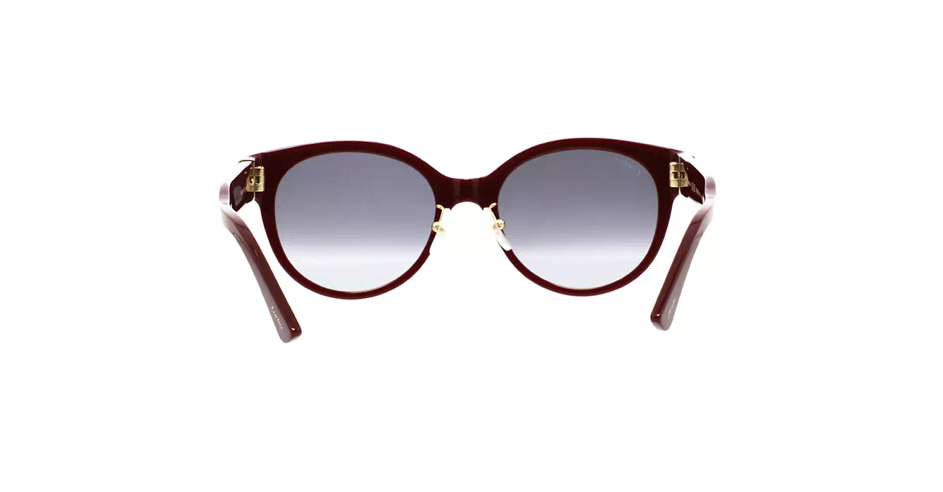 Cartier CT0510SJ 004 s55