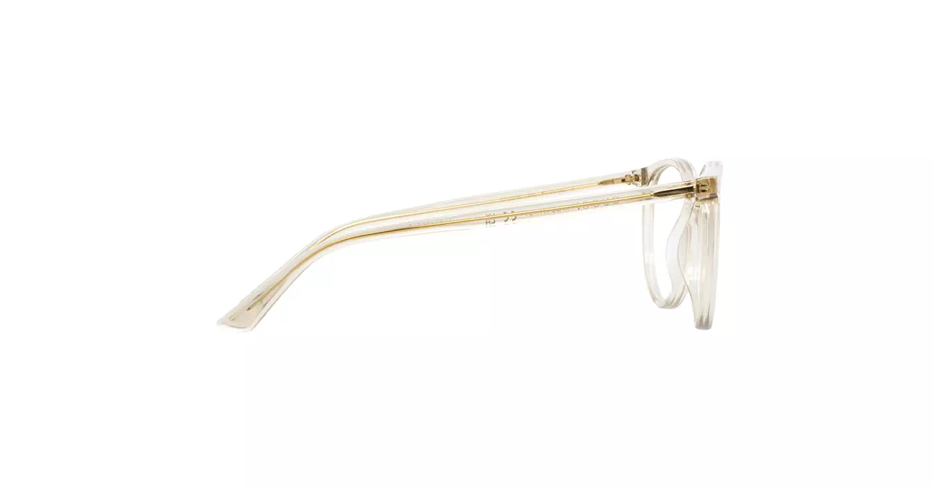 Gucci GG0027O 009 s50