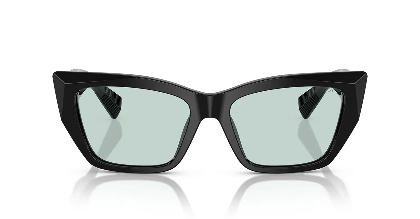 Tiffany&co TF4230-F 8001/D9 s54