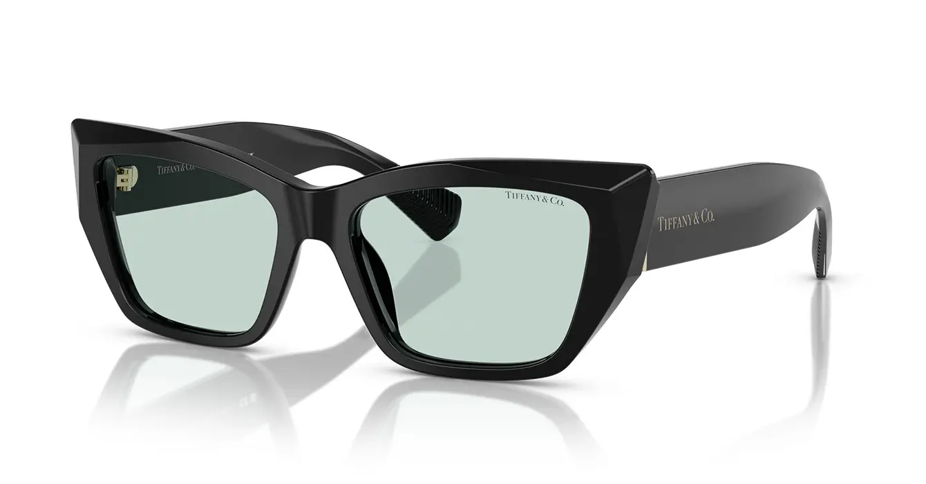 Tiffany&co TF4230-F 8001/D9 s54