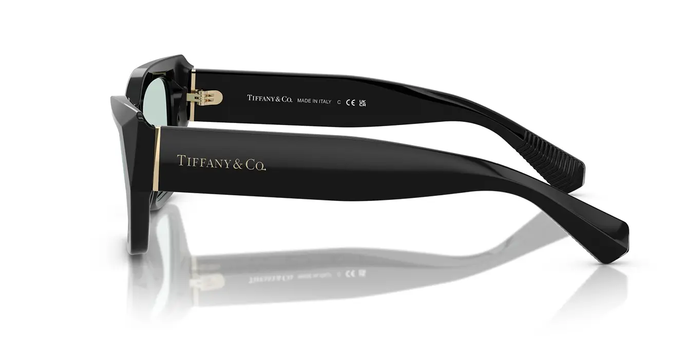 Tiffany&co TF4230-F 8001/D9 s54