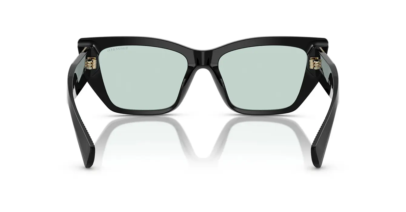 Tiffany&co TF4230-F 8001/D9 s54