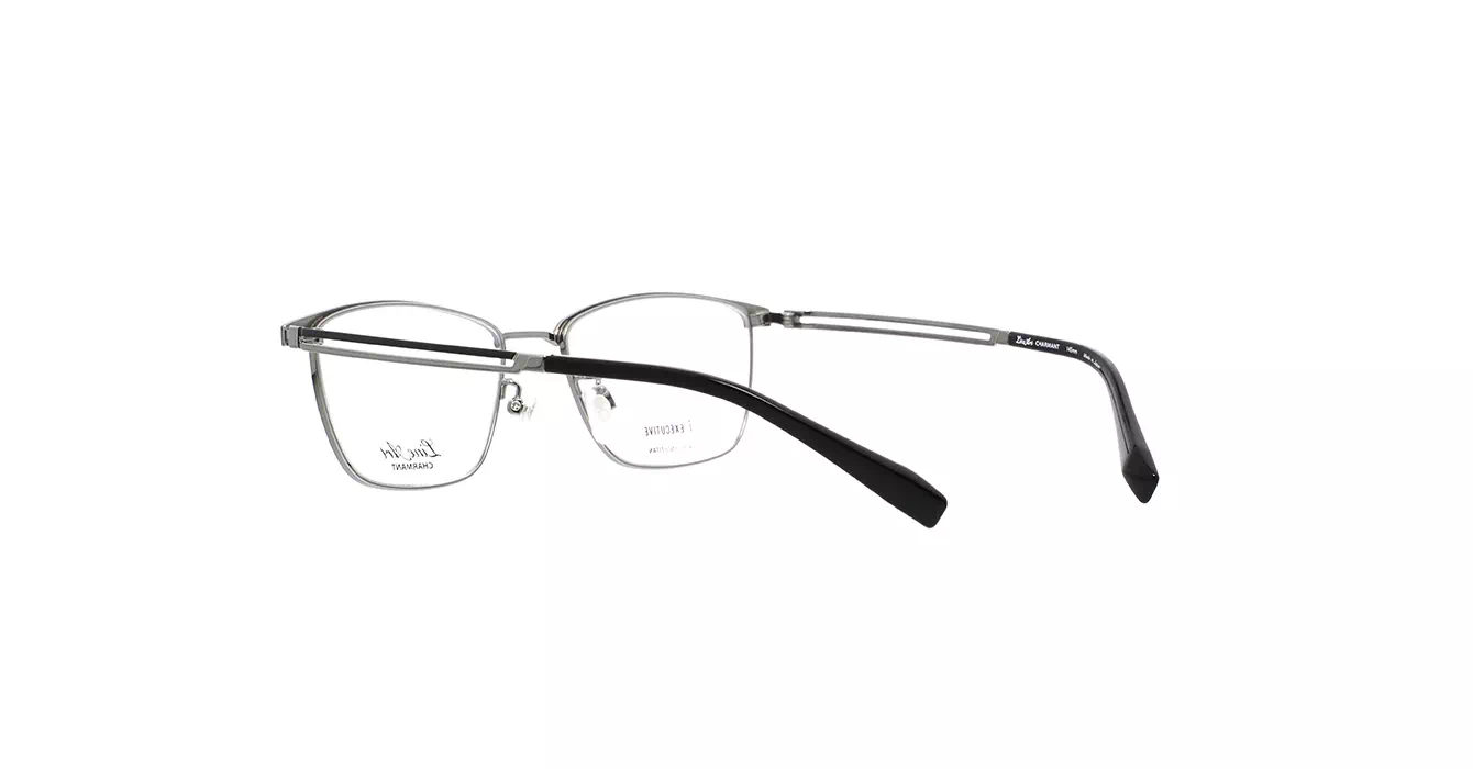 Charmant XL1837 DG s53