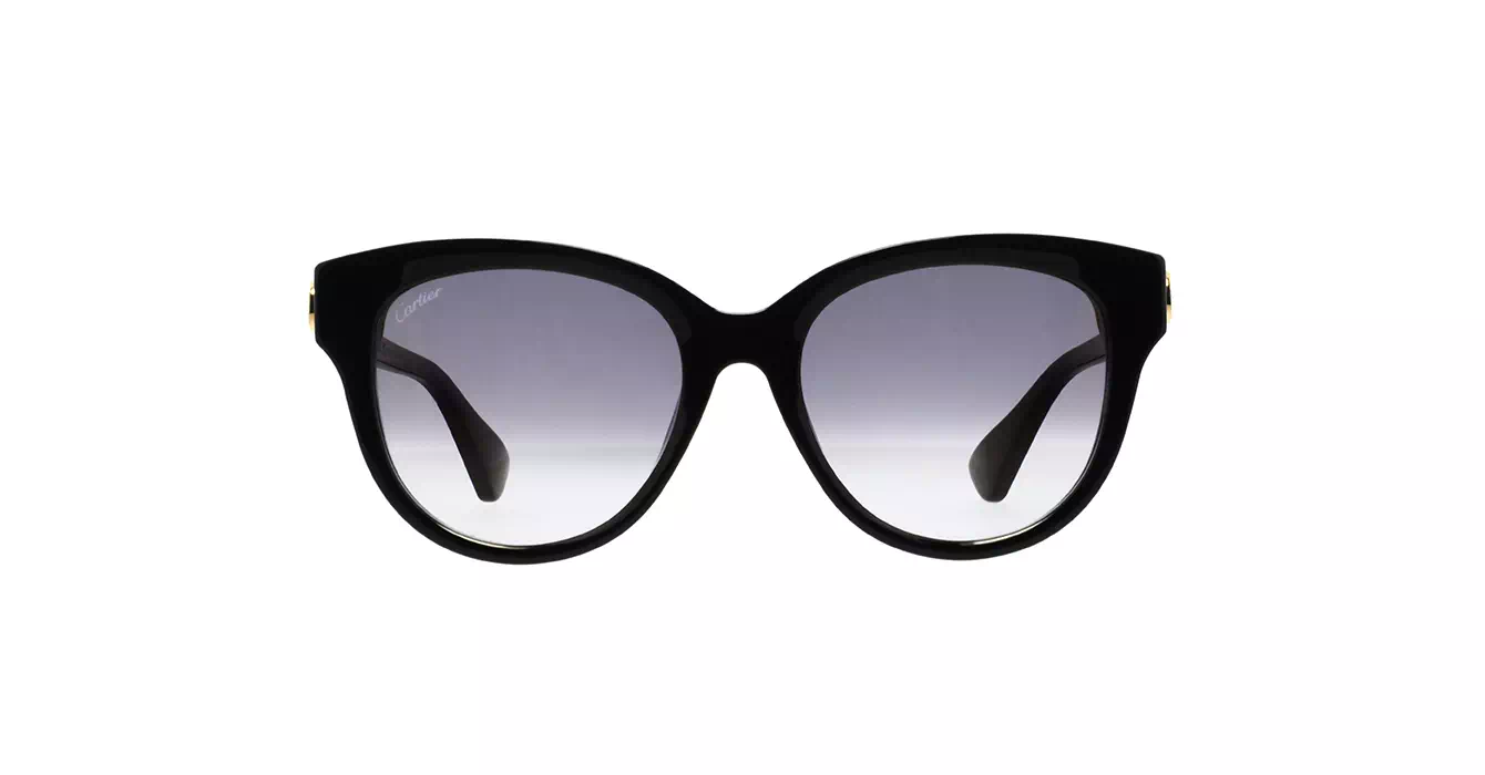 Cartier CT0506SA 001 s55
