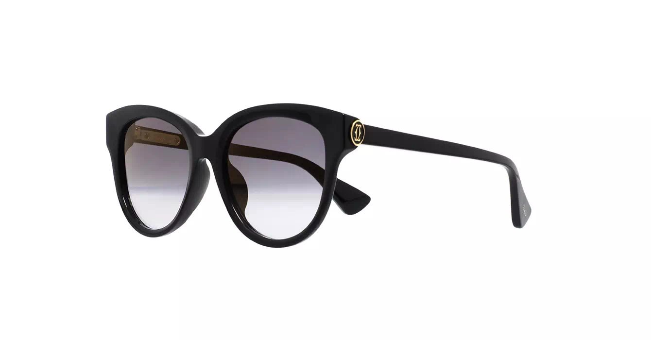 Cartier CT0506SA 001 s55