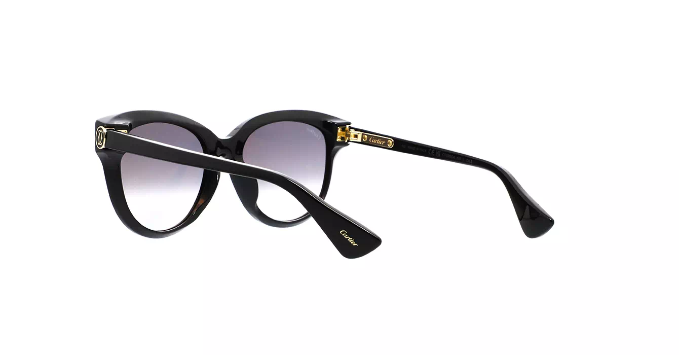 Cartier CT0506SA 001 s55