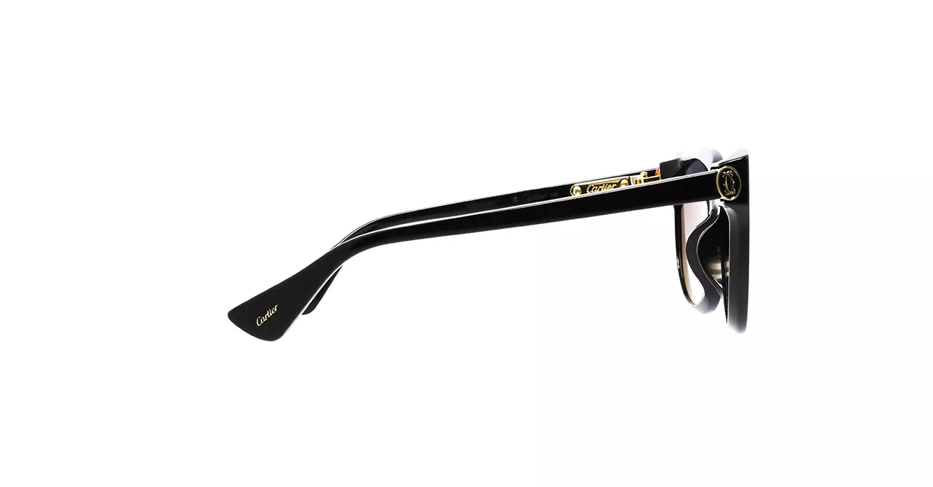 Cartier CT0506SA 001 s55