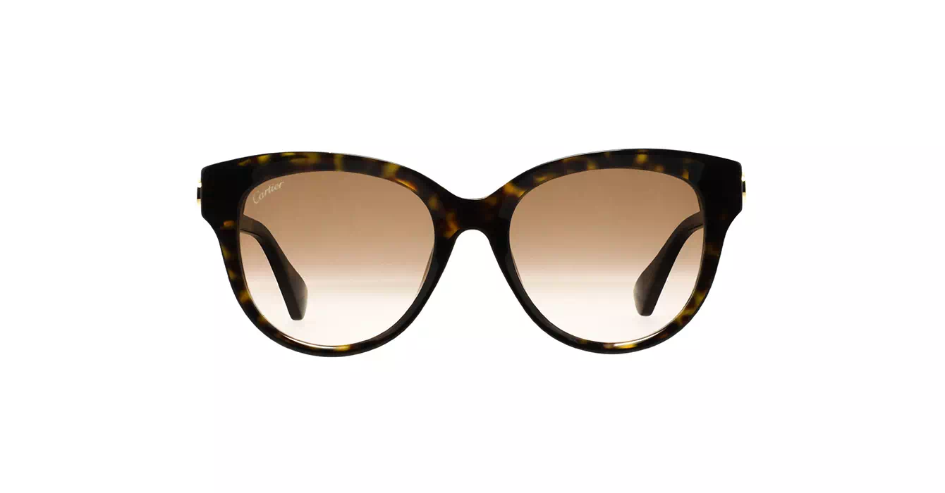 Cartier CT0506SA 002 s55