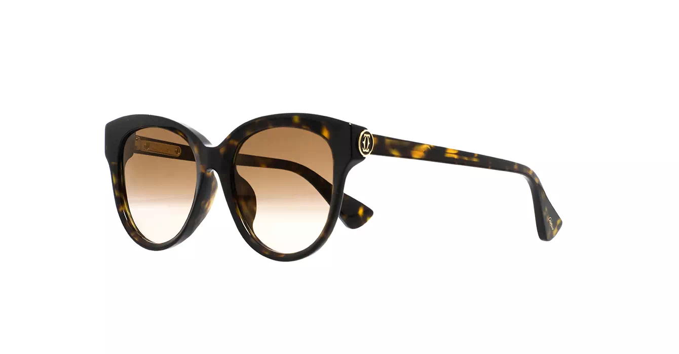 Cartier CT0506SA 002 s55