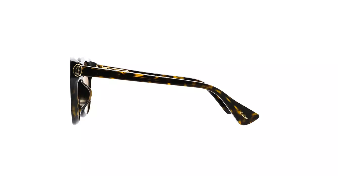 Cartier CT0506SA 002 s55