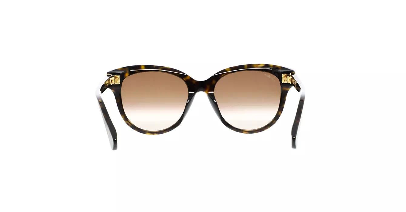 Cartier CT0506SA 002 s55