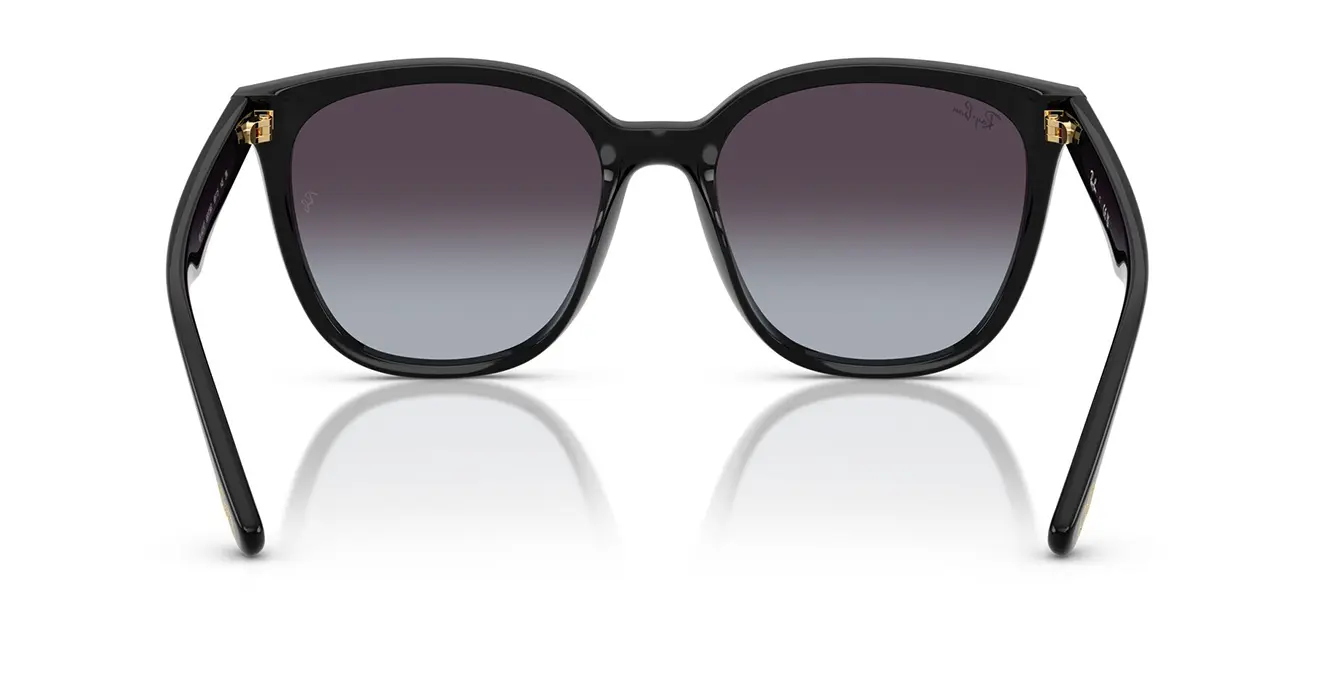 Ray-Ban RB4423D 6807/8G s66
