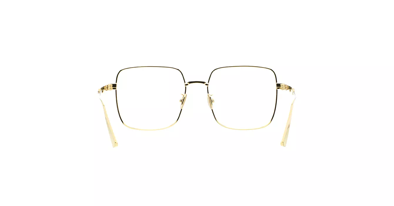 Dior CannageO S1F CD50119F B0BB s55