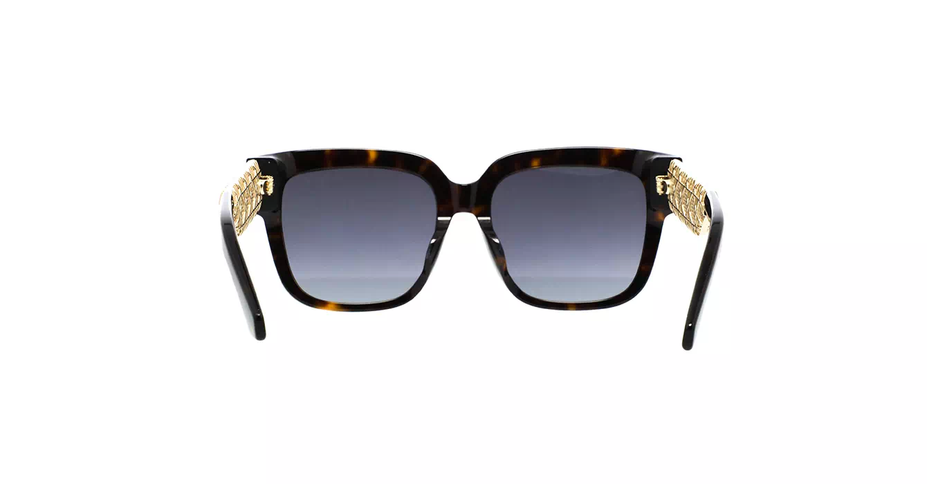 Dior Esille S1F CD40173F 20A1 s55