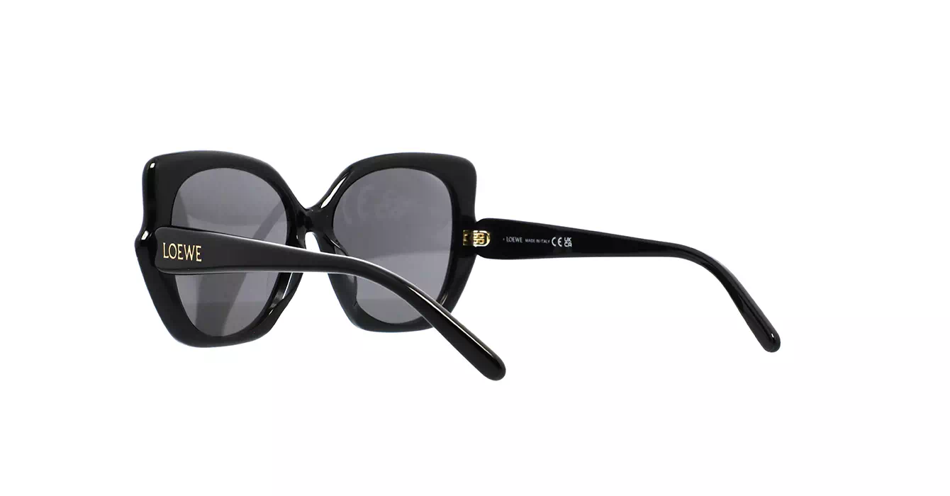 Loewe LW40133F 01A s55