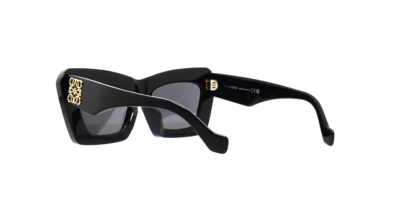 Loewe LW40145F 01A s53