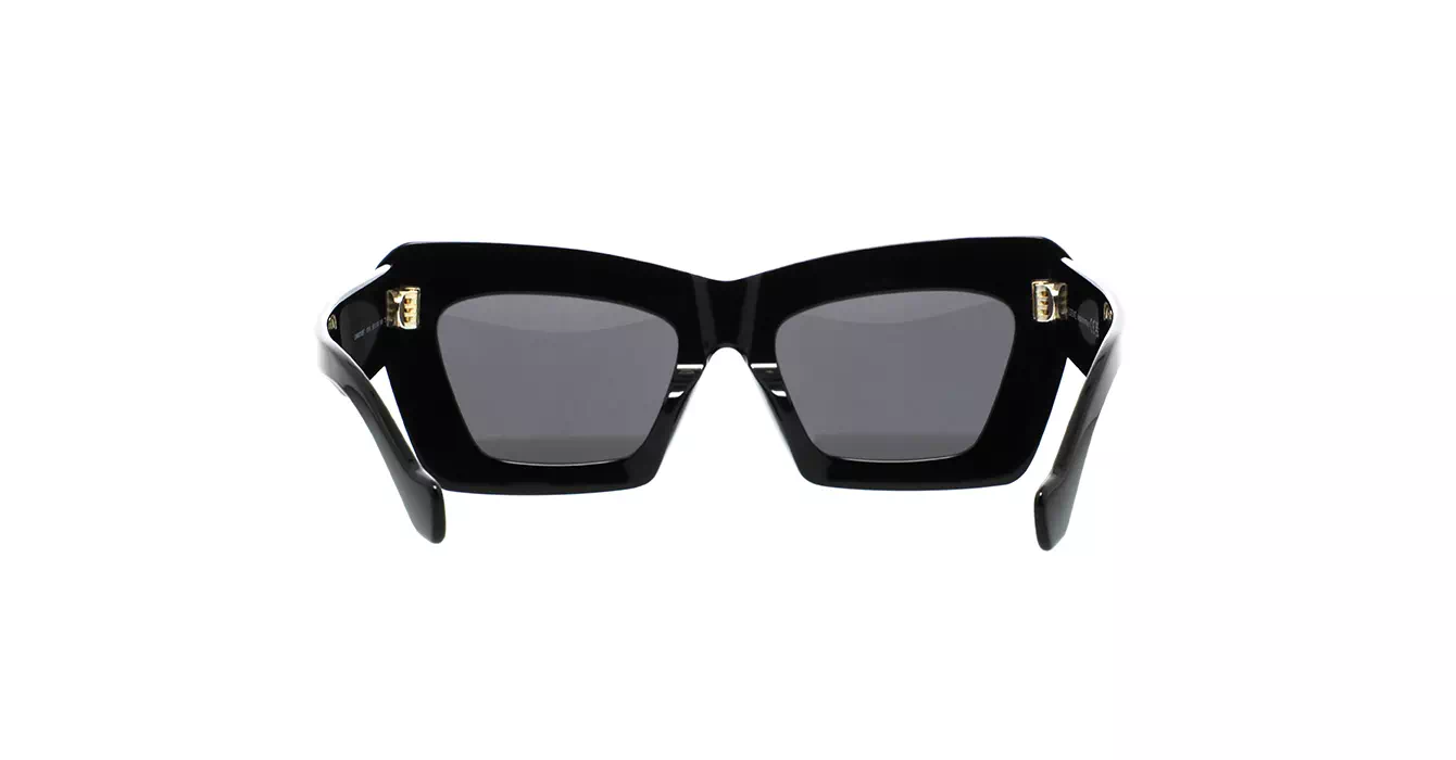 Loewe LW40145F 01A s53