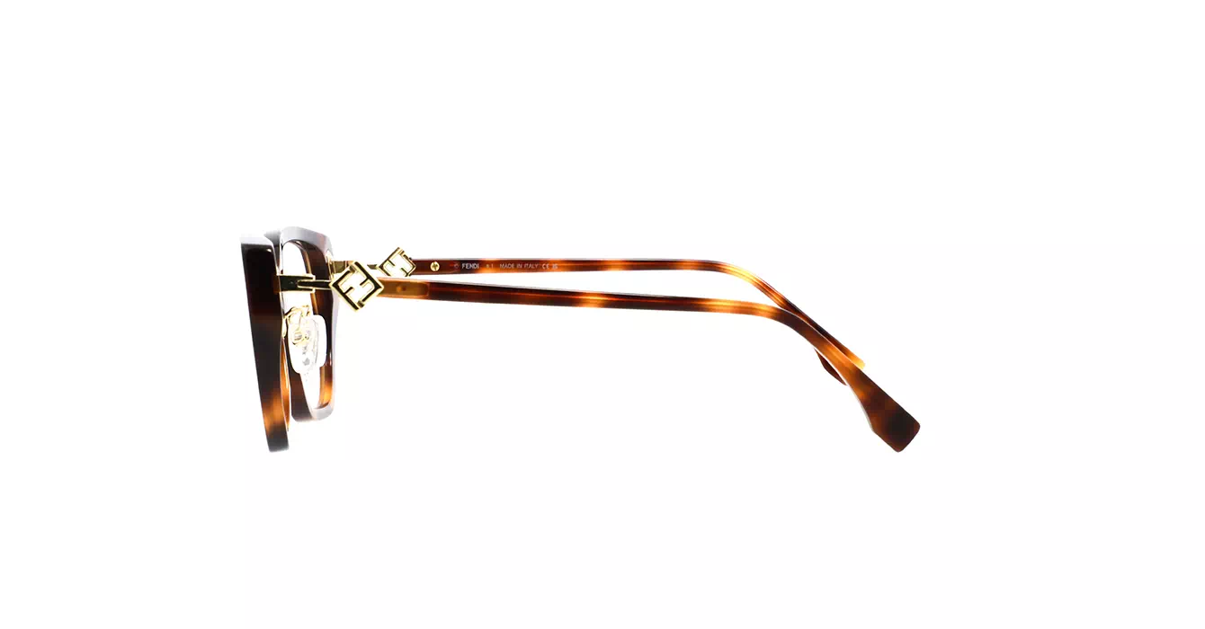 Fendi FE50100F 053 s53