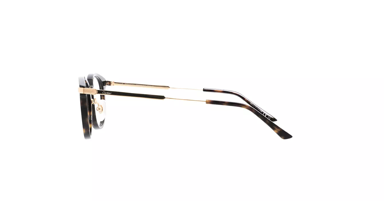 Cartier CT0531OJ 002 s49