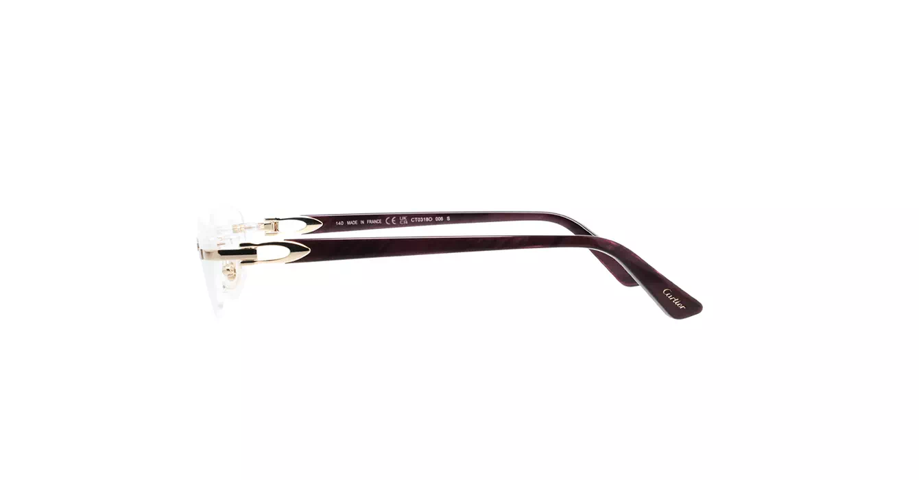Cartier CT0318O 006 s52