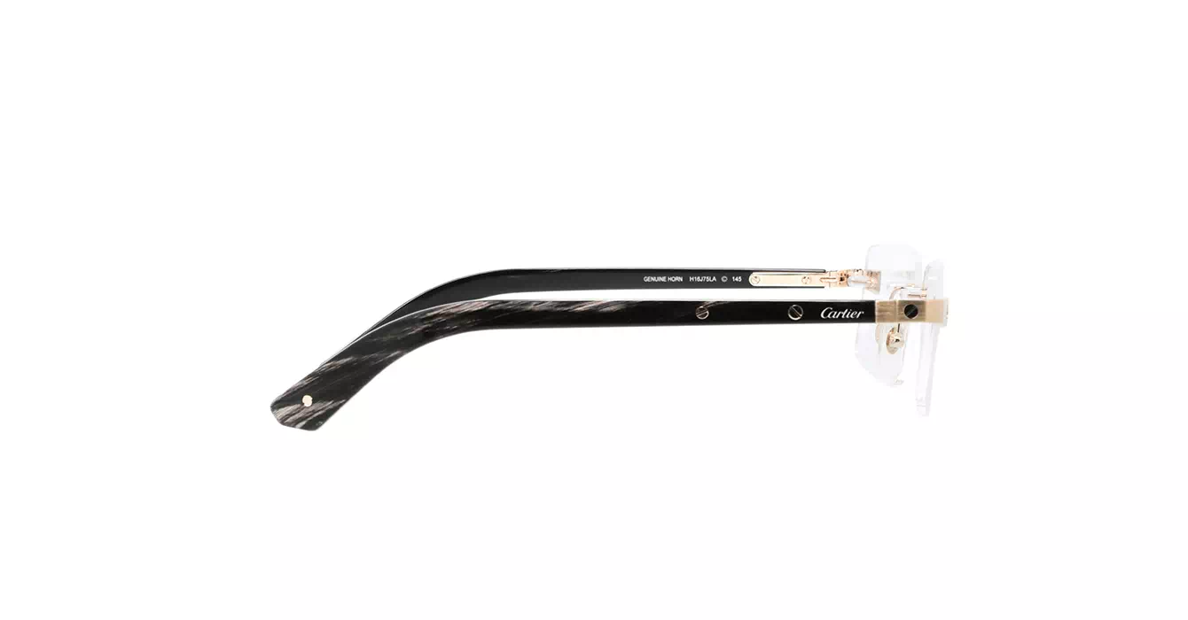 Cartier CT0513O 001 s57