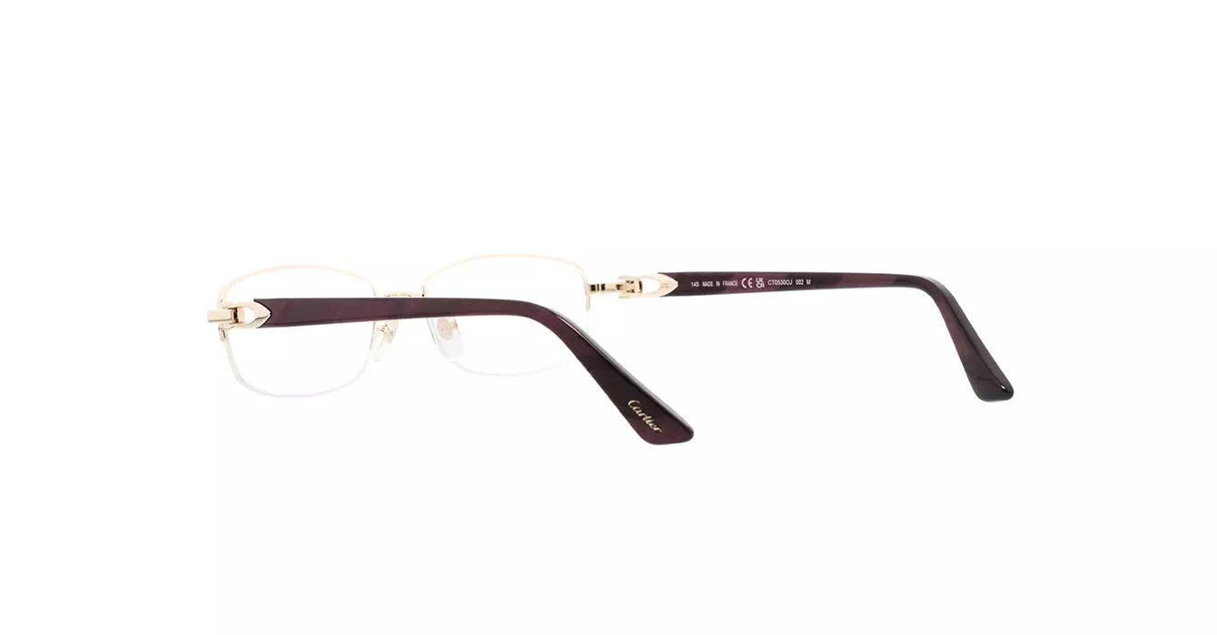 Cartier CT0530OJ 002 s53