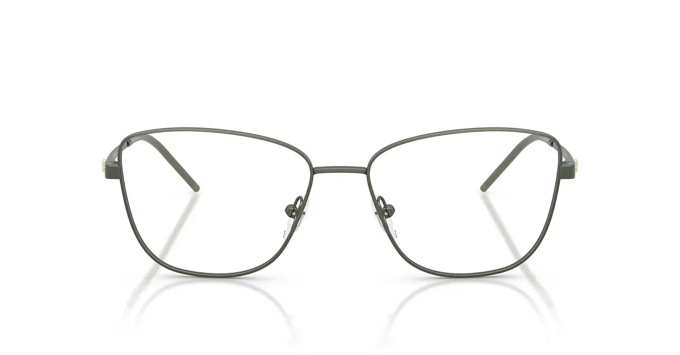 Emporio Armani EA1172 3402 s55