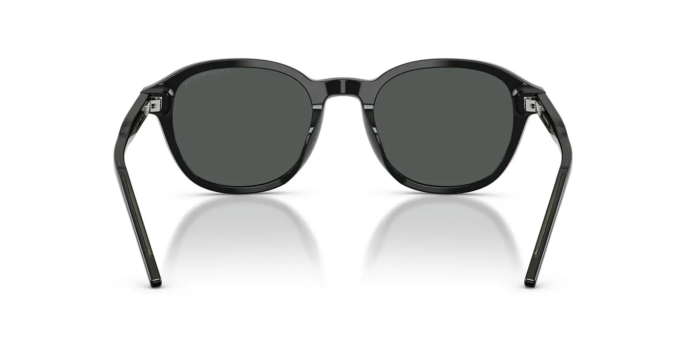 Emporio Armani EA4247U 5017/87 s51
