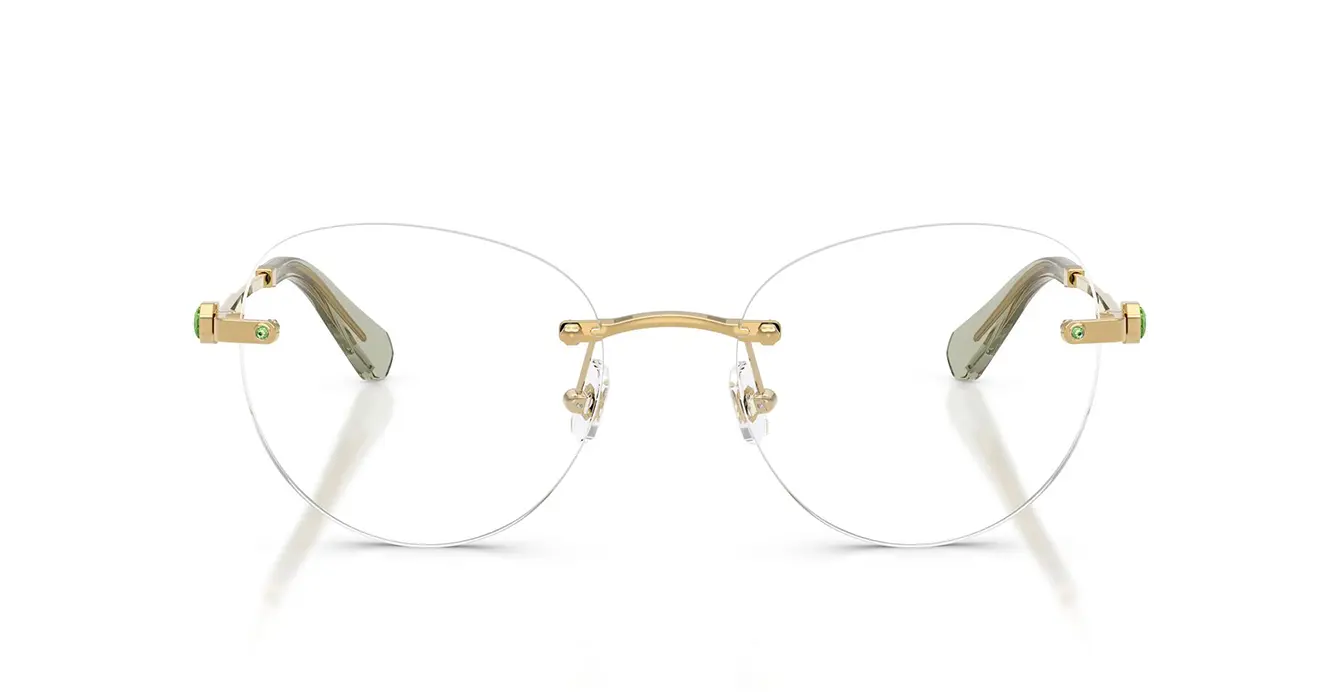 Swarovski SK1021 4017 s53