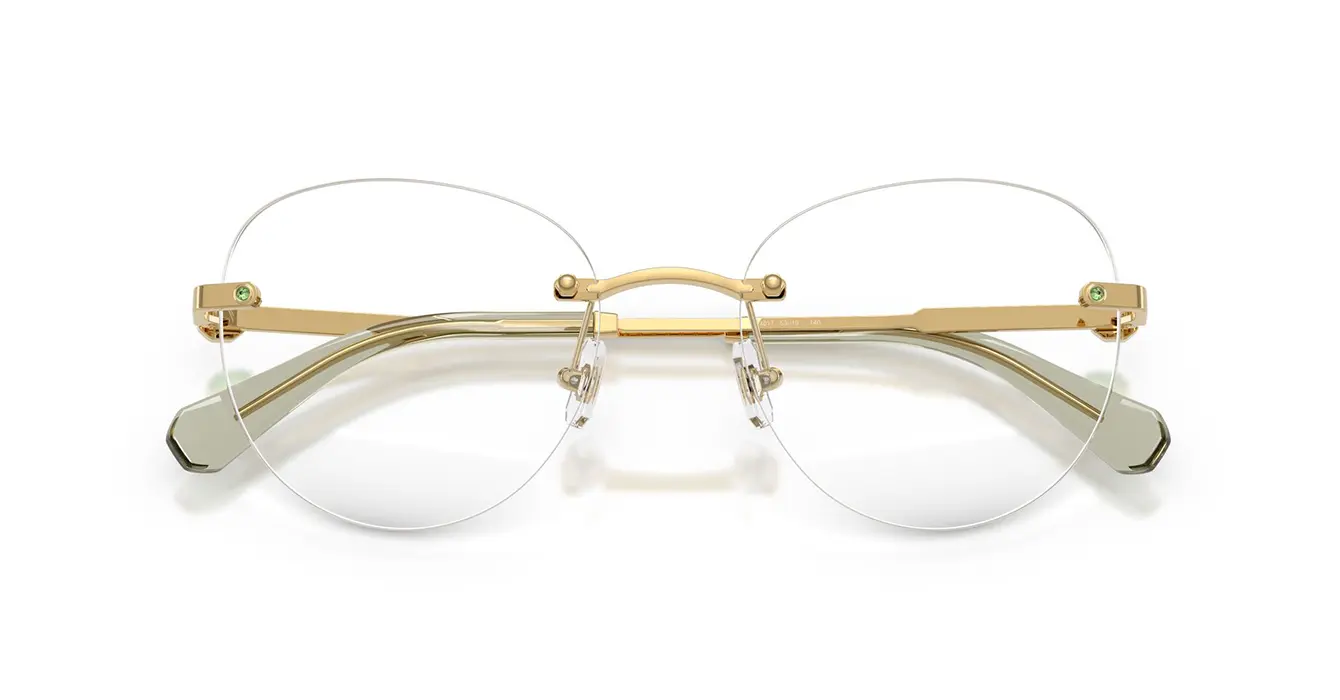 Swarovski SK1021 4017 s53