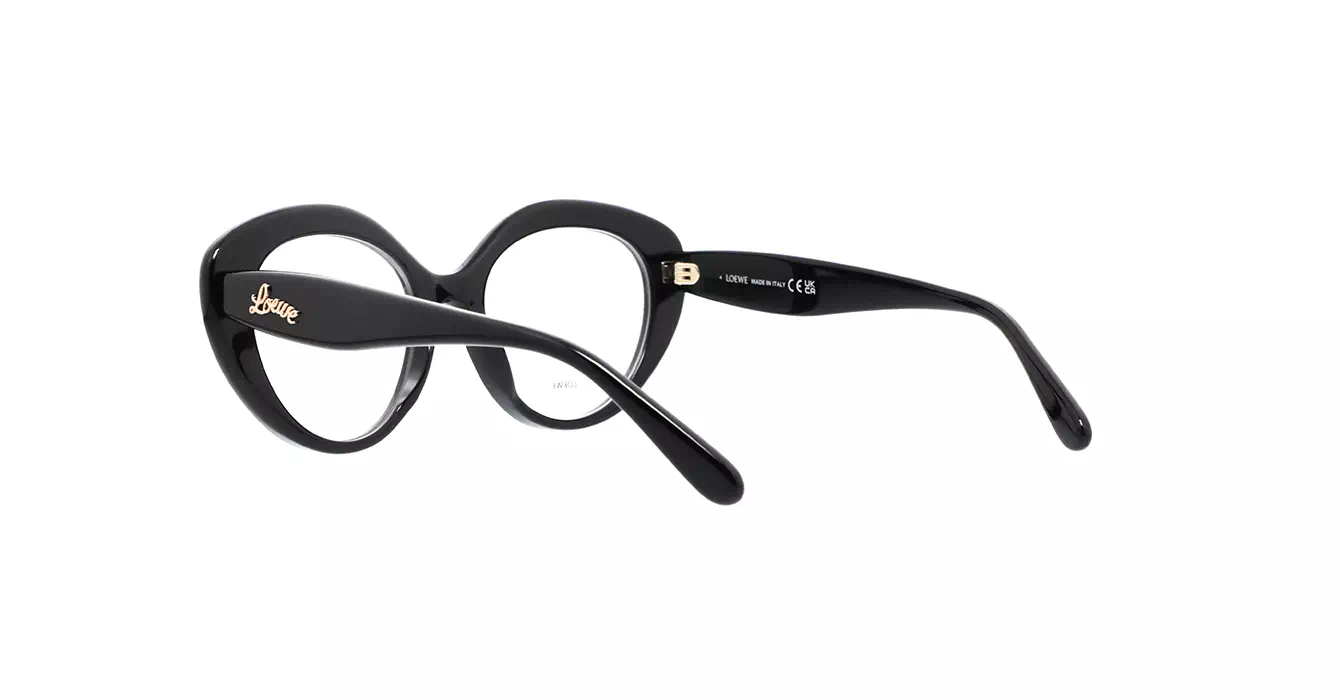Loewe LW50088I 001 s52