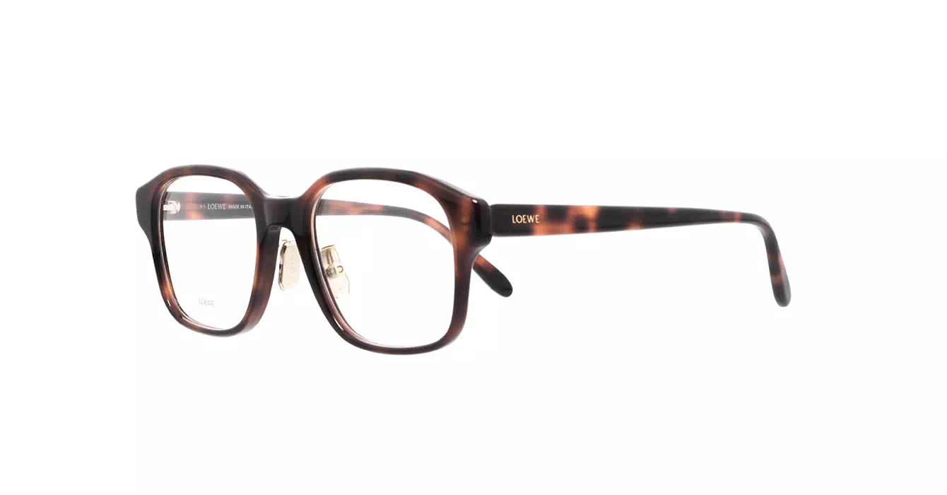 Loewe LW50084F 052 s53