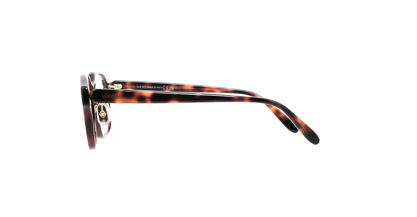Loewe LW50084F 052 s53