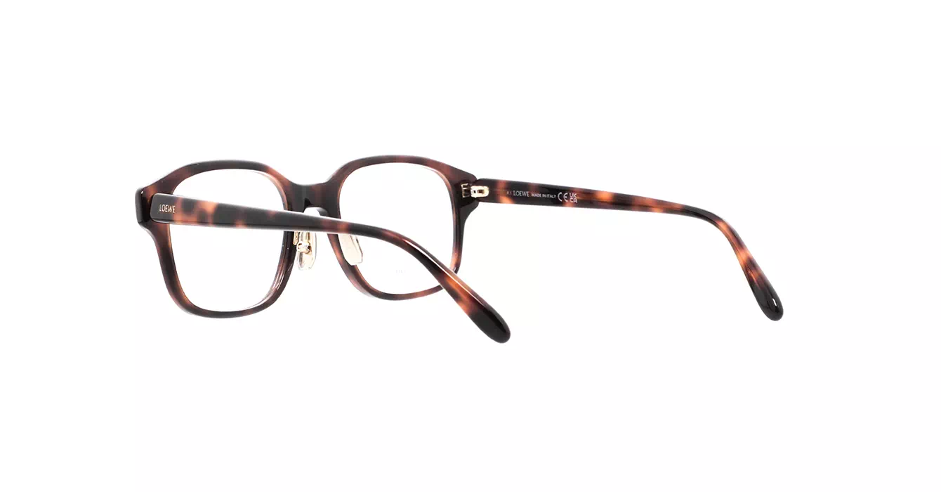 Loewe LW50084F 052 s53