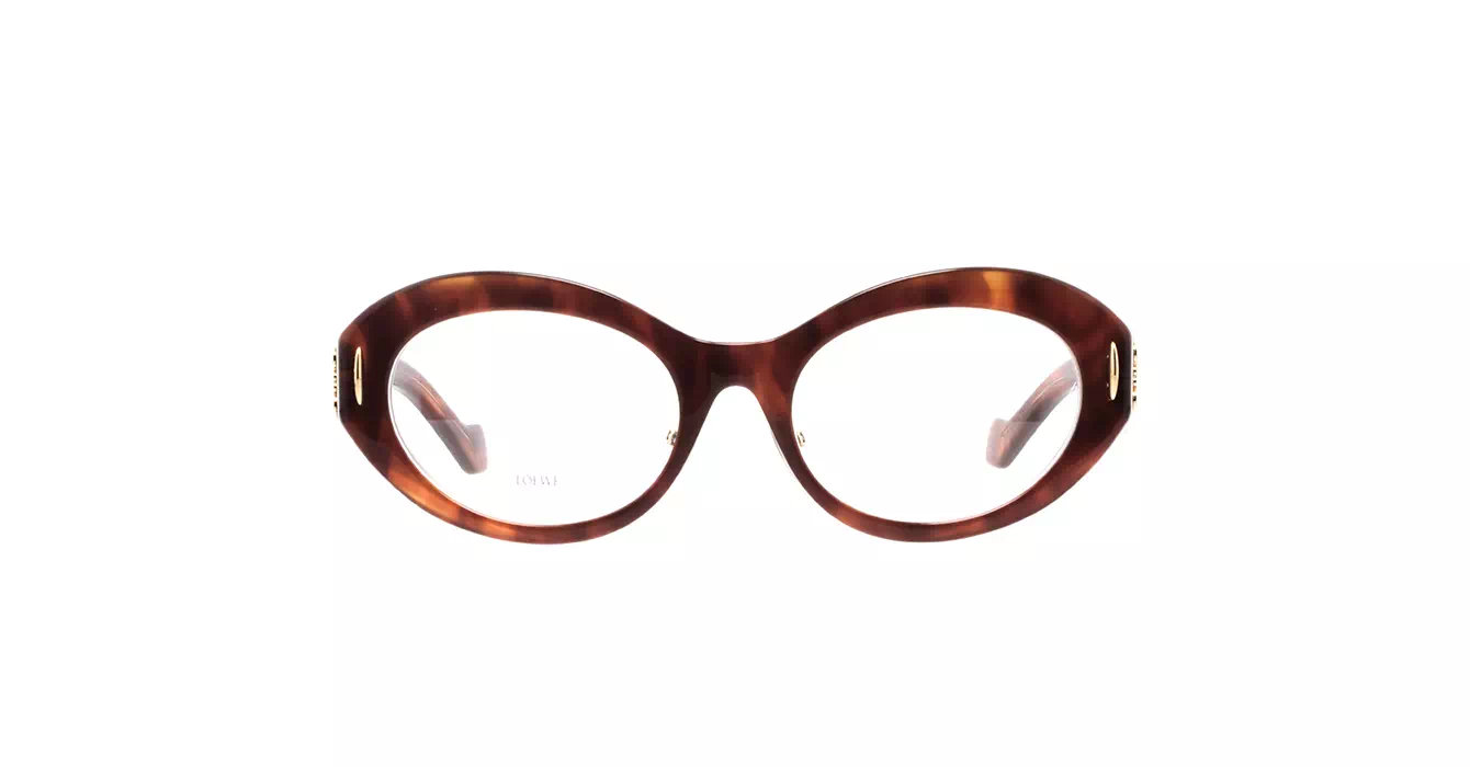 Loewe LW50090F 053 s52