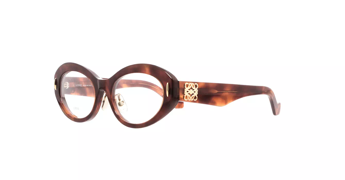 Loewe LW50090F 053 s52