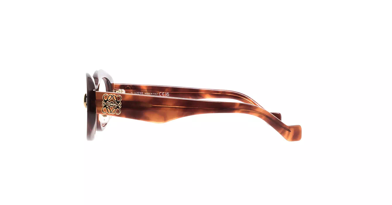 Loewe LW50090F 053 s52