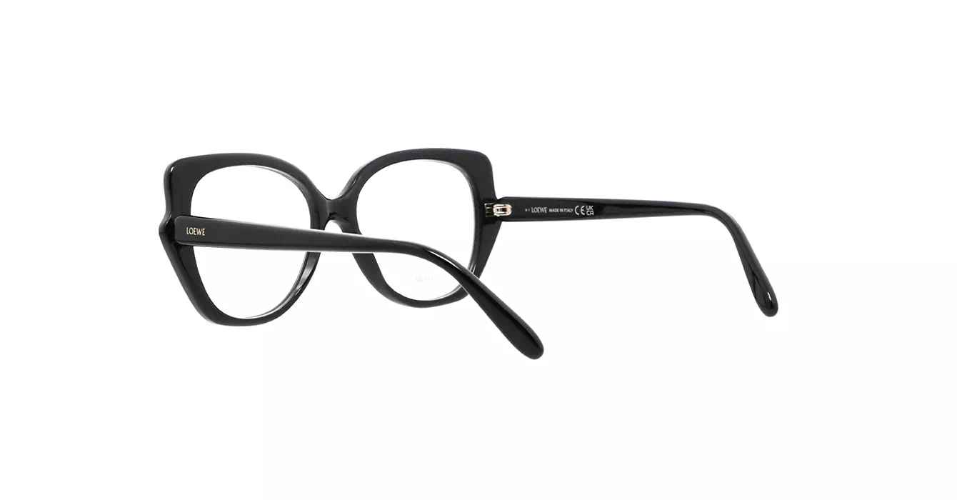 Loewe LW50092I 001 s54