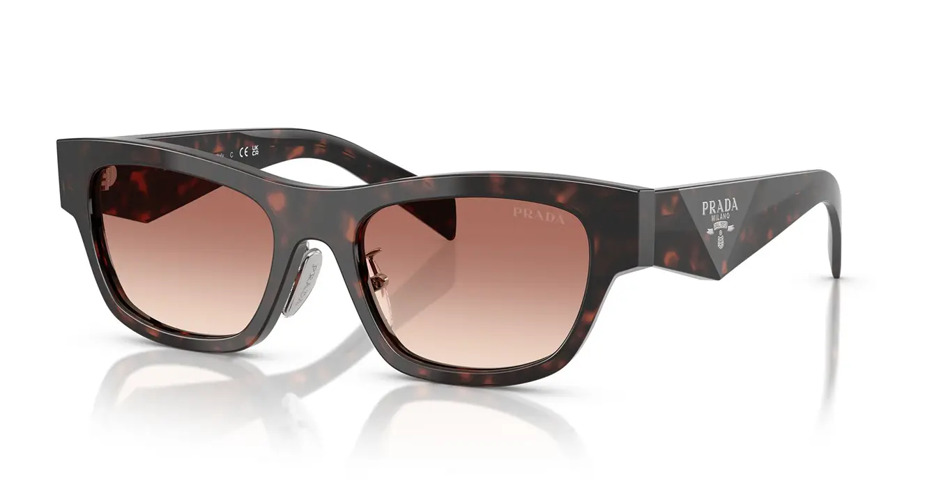 Prada SPR B09-F 17N-50L s53