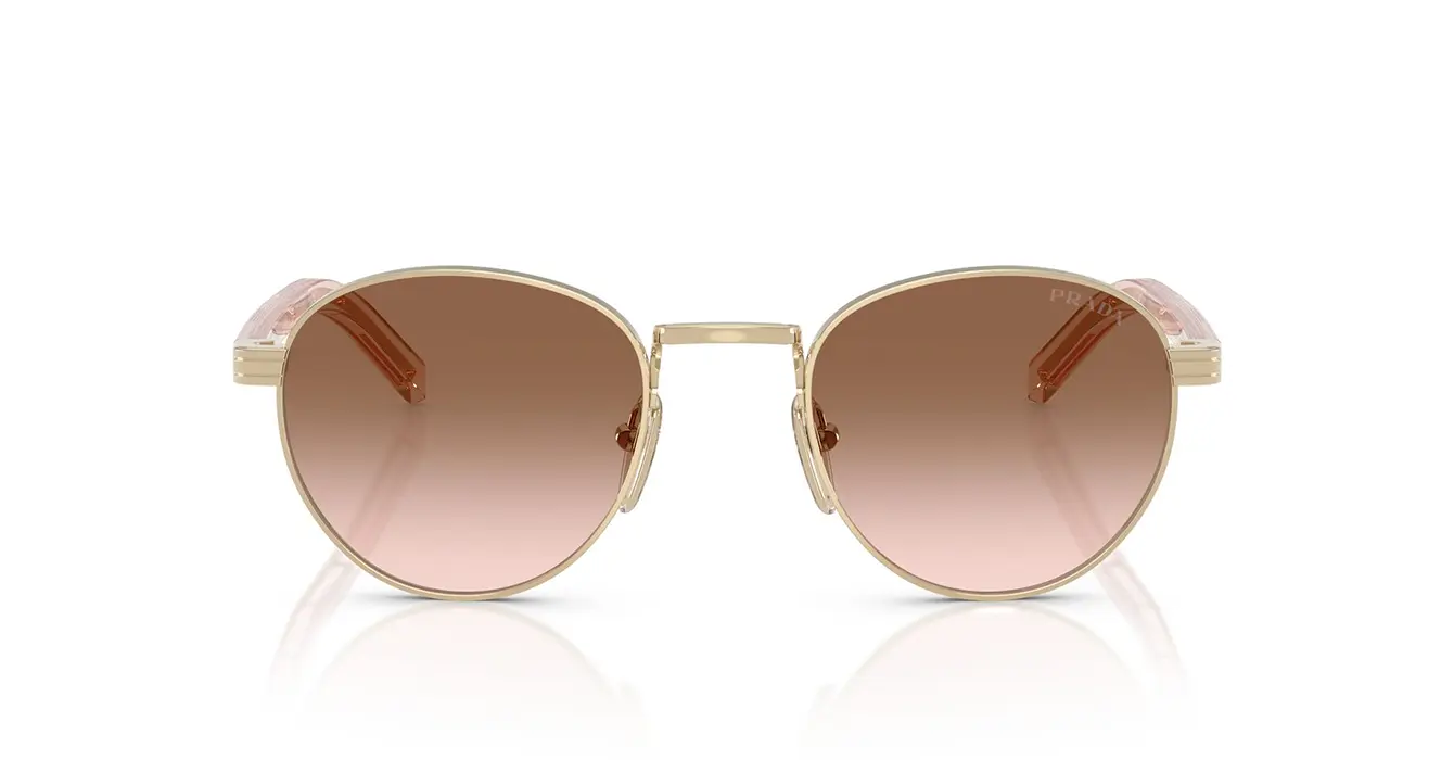 Prada SPR B52 ZVN-0A6 s49