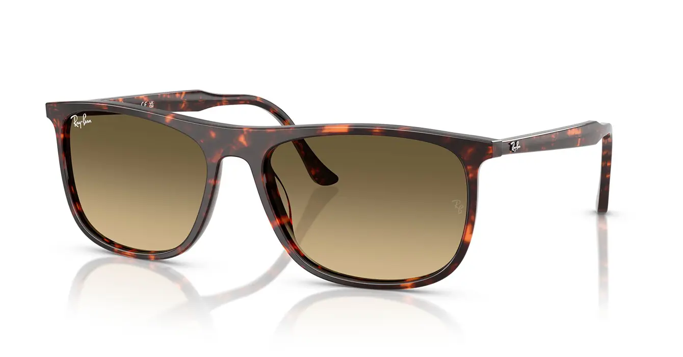 Ray-Ban RB2216F 1429/0A s58
