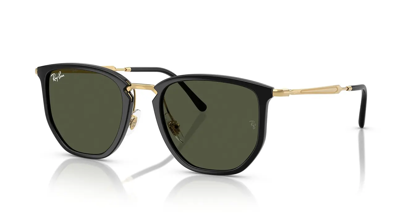 Ray-Ban RB4451 6306/31 s53