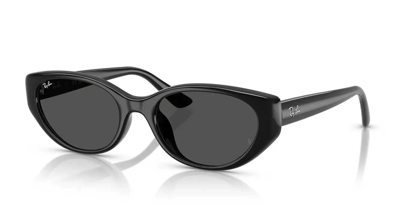 Ray-Ban RB4457D 6677/87 s55