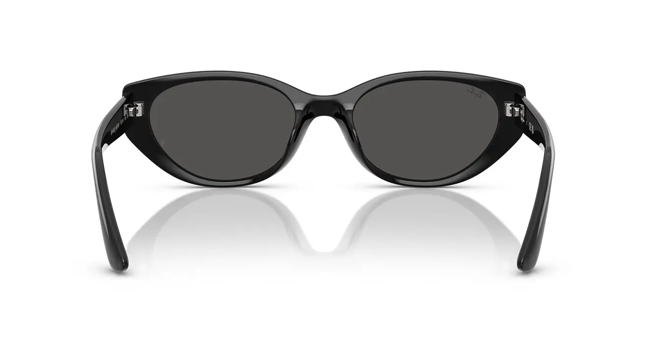 Ray-Ban RB4457D 6677/87 s55