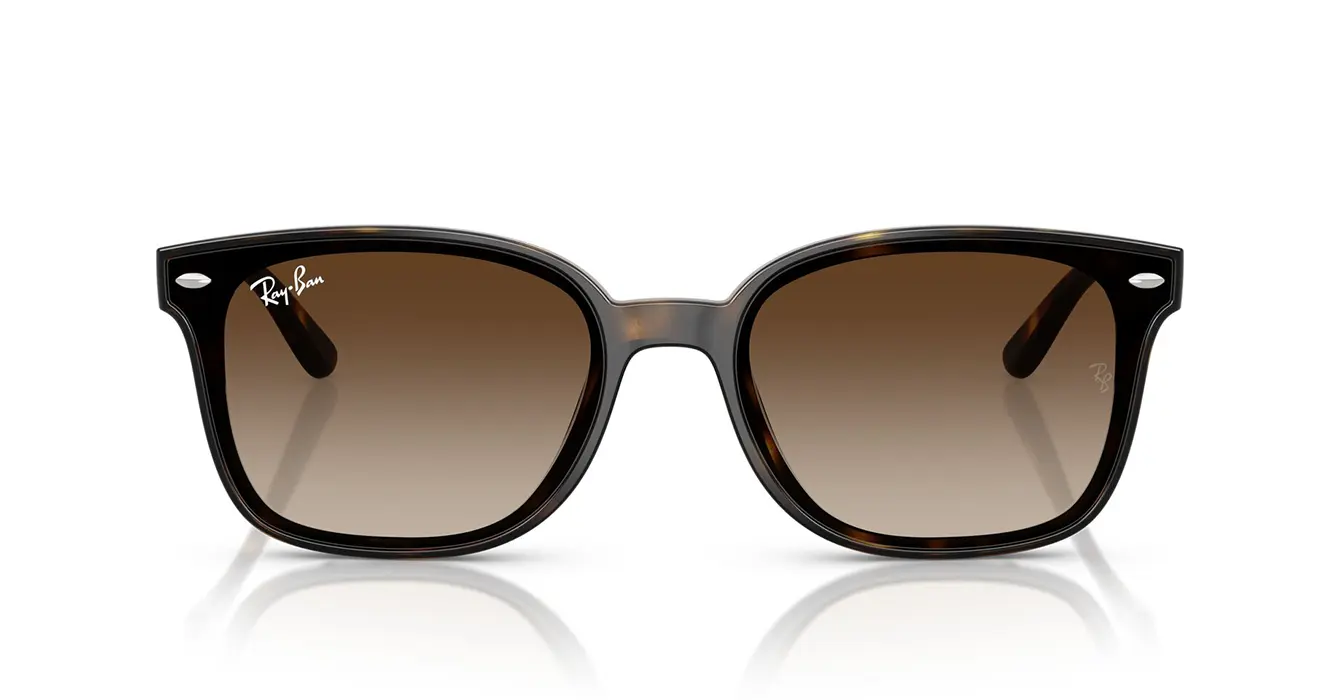 Ray-Ban RB4461D 710/13 s64