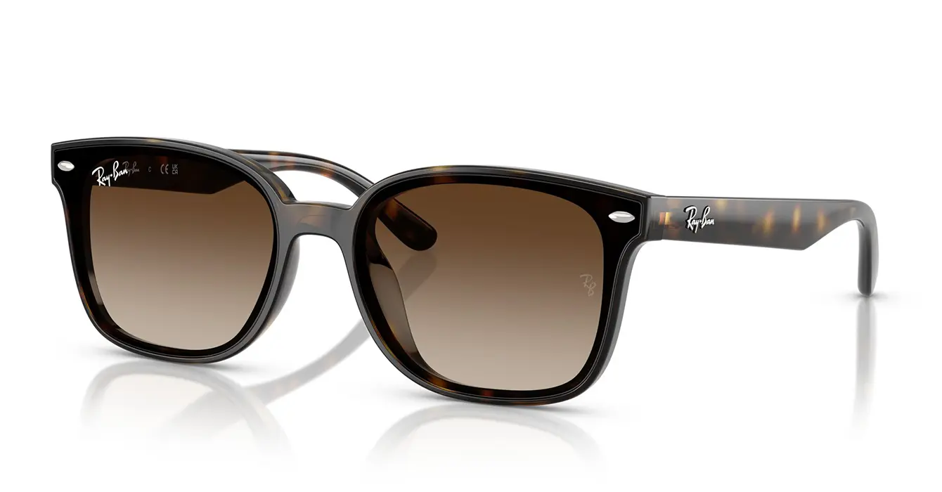 Ray-Ban RB4461D 710/13 s64