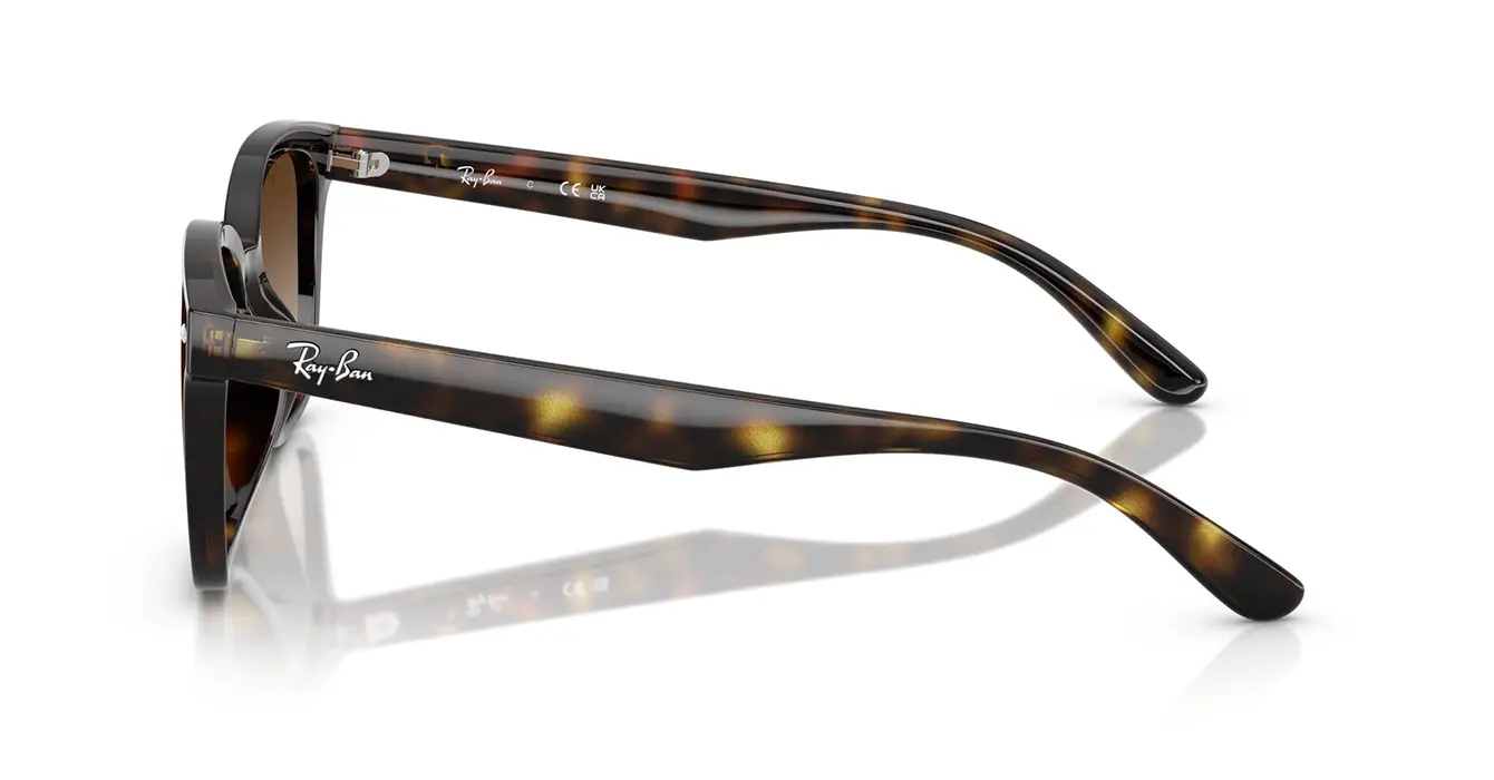Ray-Ban RB4461D 710/13 s64