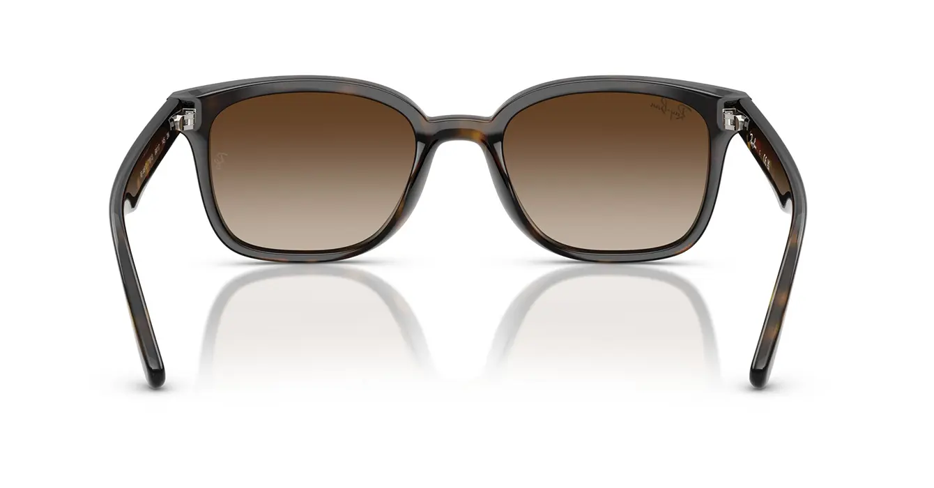 Ray-Ban RB4461D 710/13 s64