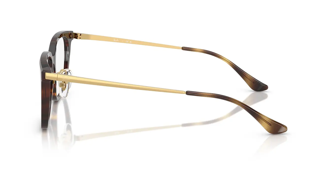 Ray-Ban RB5442D 2012 s52
